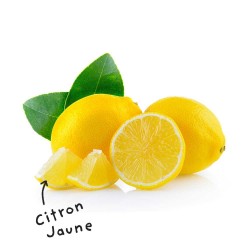 Blad met gele citroen...