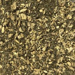 Infusion de tulsi et gingembre BIO