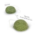 Konjac Speciale Oogspons met Groene Thee