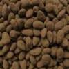Met Melkchocolade Gecoate Amandelen - Bloem van zout