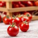 Tomates cerise