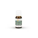 Huile Essentielle Laurier Noble BIO - Date dépassée