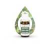Huile Essentielle Laurier Noble BIO - Date dépassée