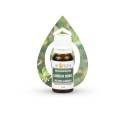 Huile Essentielle Laurier Noble BIO - Date dépassée