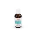 copy of Bio Synergie - Atmen