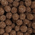 Donkere Chocolade Gecoate Hazelnoten - Kokos