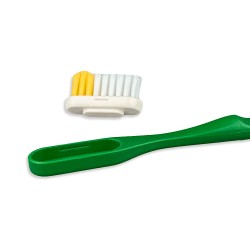 Tête brosse à dents verte Lamazuna