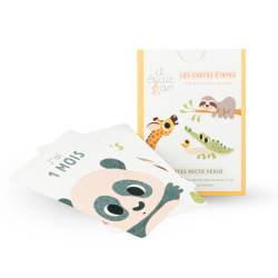 Cartes étapes et étui