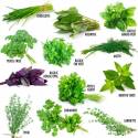 Herbes aromatiques