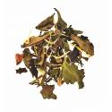 Organic Exotic White Tea