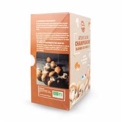 Champignoncultuurworkshop in Parijs