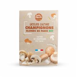 Button Mushroom Culture...