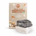 Kit de culture de champignons de paris mycéllium
