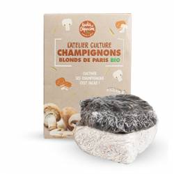 Champignoncultuurworkshop in Parijs