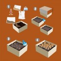 Schéma du kit de culture de champignons de paris