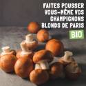 Champignons de paris