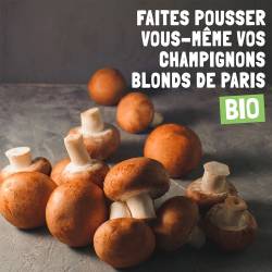 Champignoncultuurworkshop in Parijs