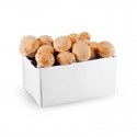 Kit de culture de champignons de paris dans boîte