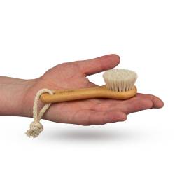 Brosse visage taille