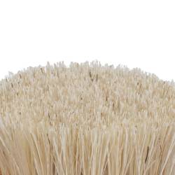 Brosse visage poils
