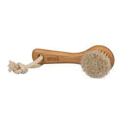 Brosse visage de face