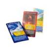 "Nature Challenges" game cards - Bioviva