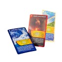 "Nature Challenges" game cards - Bioviva