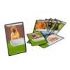 "Nature Challenges" game cards - Bioviva