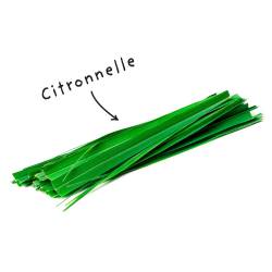 Fiche HE "citronelle"