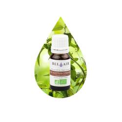 HUILE ESSENTIELLE EUCALYPTUS CITRONNÉ BIO 10ML