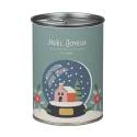 “Merry Christmas” seed kit