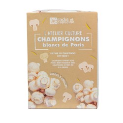 Kit champignon blanc de Paris – Bakker.com