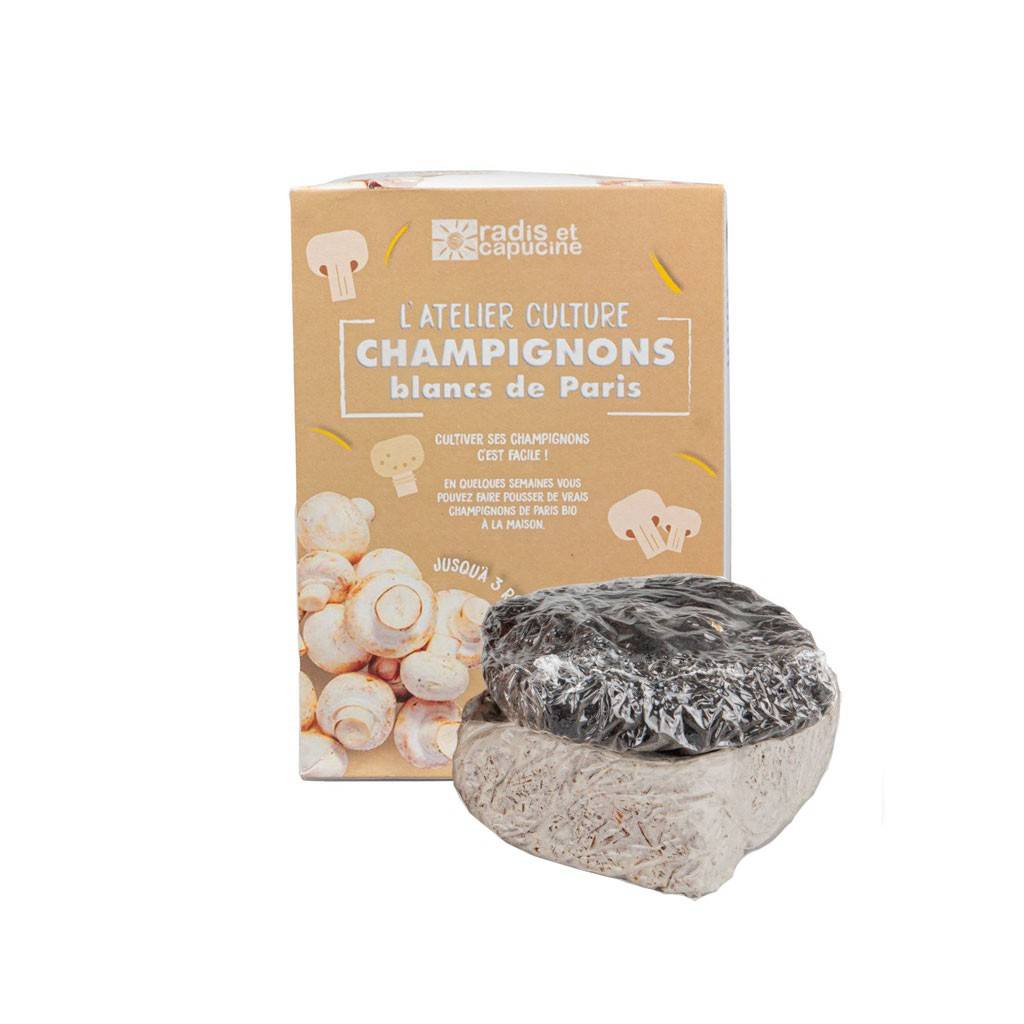 Kit champignons de Paris à faire pousser.