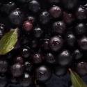 Biologische gedroogde Aronia-bessen