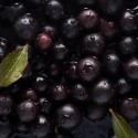 Organic dried Aronia berries