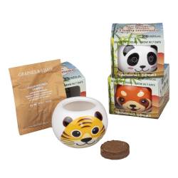 Mini-Keramik-Set zum Wachsen