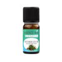 Huile essentielle gaulthérie couchée BIO 10 ml