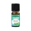Organic Atlas Cedar