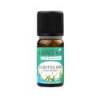 Huile essentielle eucalyptus radié (ou radiata) BIO 10 ml