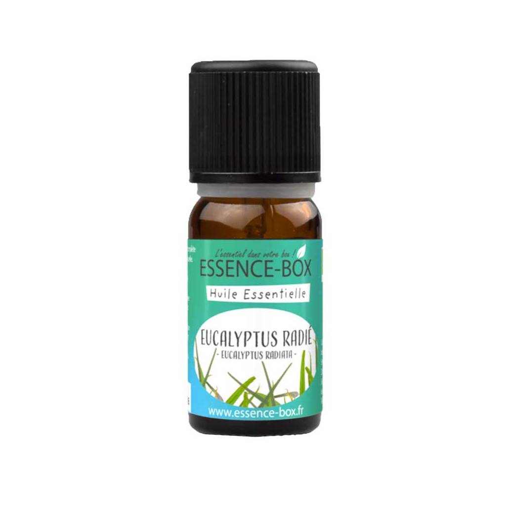 Bestrahlter Eukalyptus (oder Radiata) BIO Bestrahlter Eukalyptus (oder Radiata) BIO