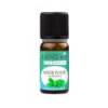 Huile essentielle menthe poivrée BIO 10 ml