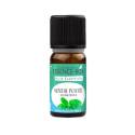 Huile essentielle menthe poivrée BIO 10 ml