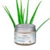 Déodorant baume peaux sensibles Endro avec aloe vera