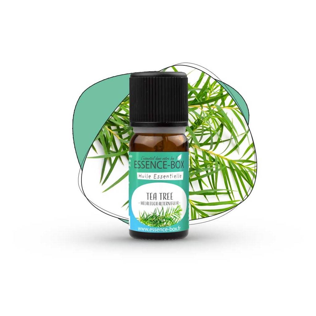 Huile Essentielle de Tea Tree Biologique (11.99$ CAD$) – La Boite à Grains