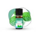 Huile essentielle menthe poivrée BIO 10 ml