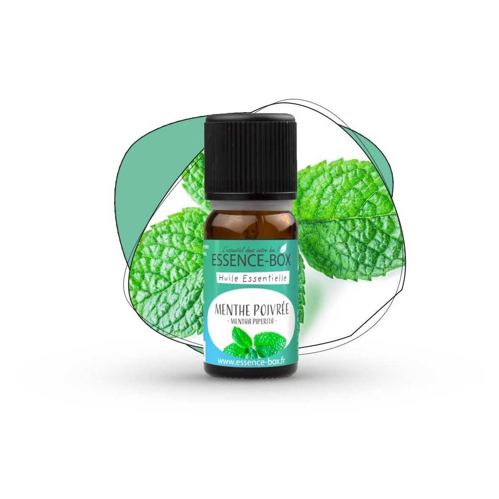 Huile essentielle menthe poivrée BIO 10 ml Huile essentielle menthe poivrée BIO 10 ml