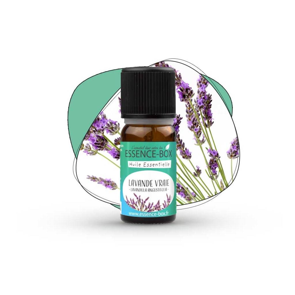 Echter Bio-Lavendel Echter Bio-Lavendel