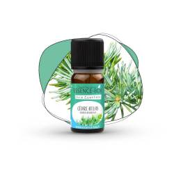 Huile essentielle BIO de cèdre atlas 10ml - vue de face