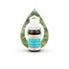 Huile Essentielle Basilic Tropical BIO - Date dépassée