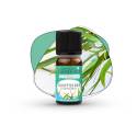 Huile essentielle eucalyptus radié (ou radiata) BIO 10 ml